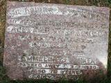 image of grave number 588029